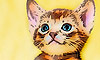 Pp Comic Script - Wallpaper